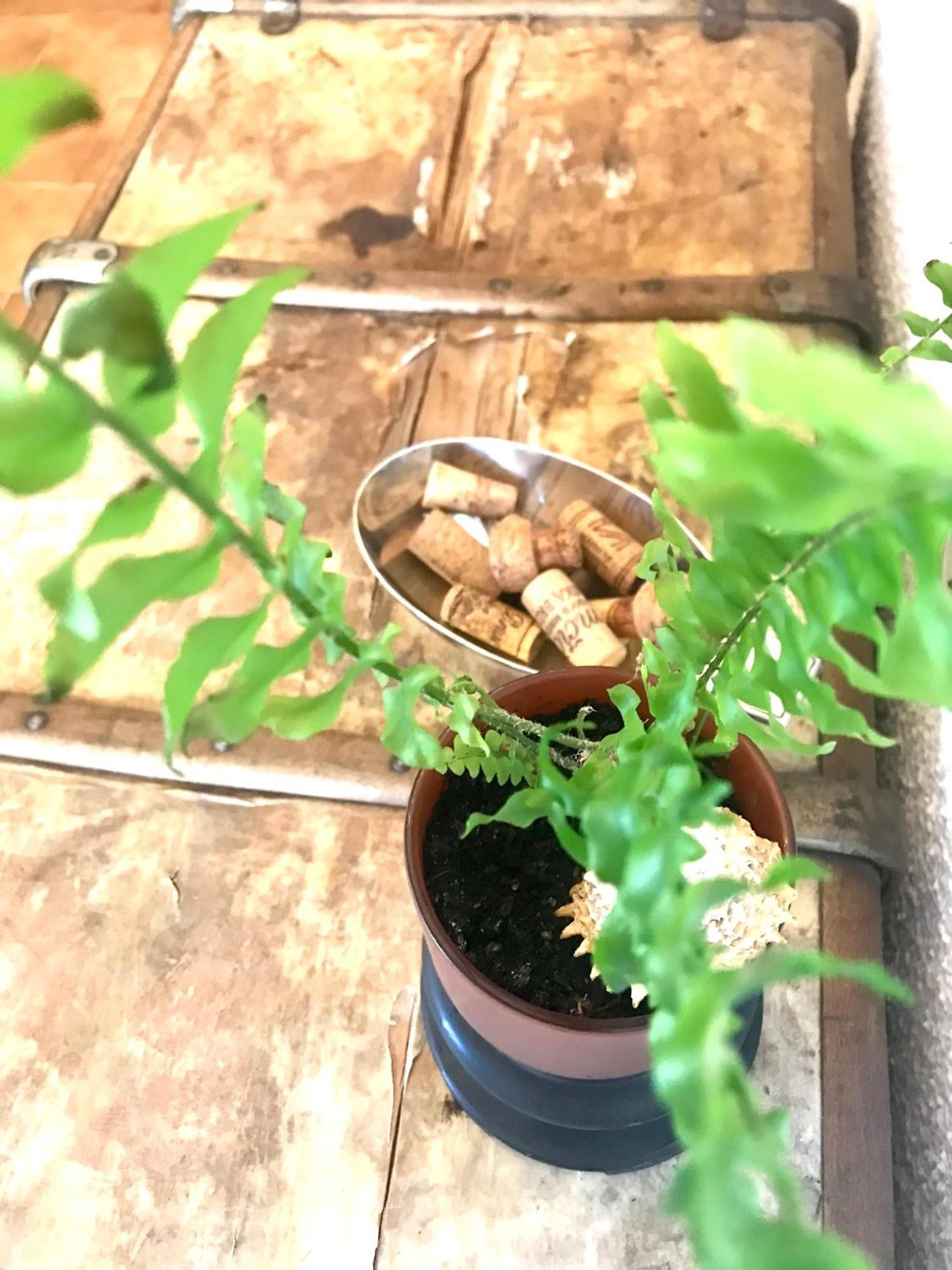 Enam Room Kojsko 외부 사진